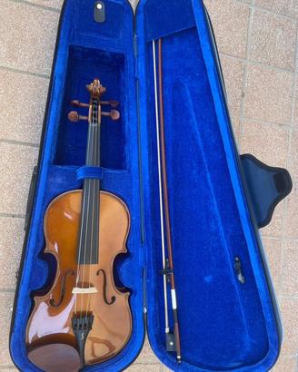 Strumenti musicali violino