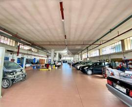 CAPANNONE A SAVIGNANO SUL RUBICONE