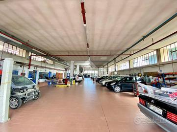 CAPANNONE A SAVIGNANO SUL RUBICONE