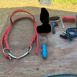 Testiera per cavallo