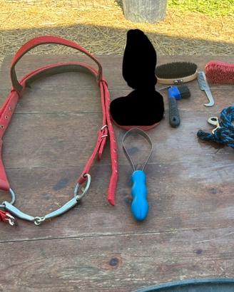 Testiera per cavallo