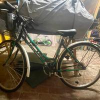 Bicicletta Peripoli