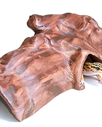 Tana grotta nascondiglio per geco pogona ragno