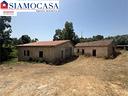 ampio-terreno-con-diversi-ricoveri-attrezzi
