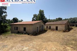Ampio terreno con diversi ricoveri attrezzi