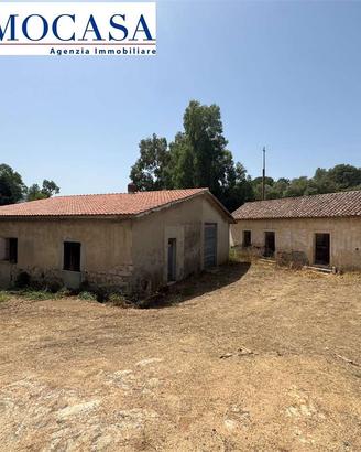Ampio terreno con diversi ricoveri attrezzi
