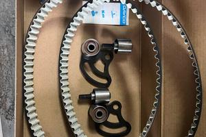 Kit cinghie ducati monster