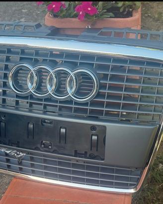 Portatarga e Mascherone Audi A3 Sportback