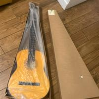 Chitarra EKO