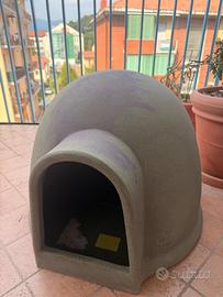 Cuccia