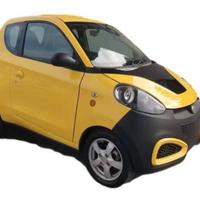 ZD D1 auto elettrica 