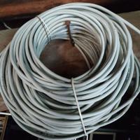 Cavo di rete cat. 6 50m