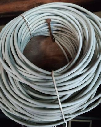 Cavo di rete cat. 6 50m