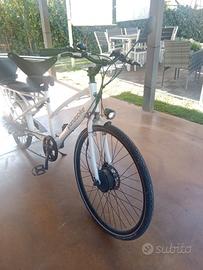 Cargo bike