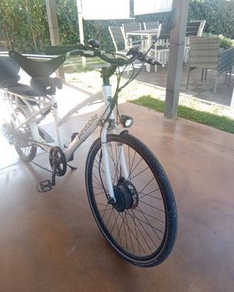 Cargo bike