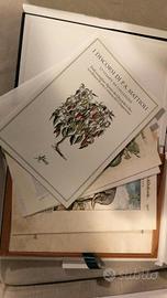 tavole botaniche