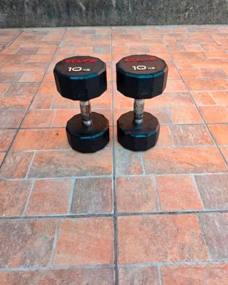 COPPIA MANUBRI  10 KG