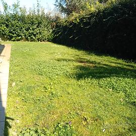 Appartamento con giardino