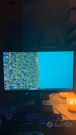 Monitor Msi 240hz