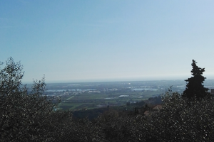 Immobile su 2 livelli abitabile 5vani