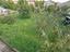 Immagine 25