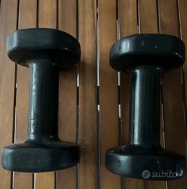 Pesi palestra