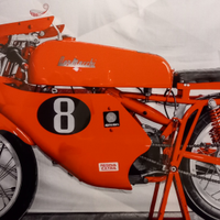 Aermacchi 250