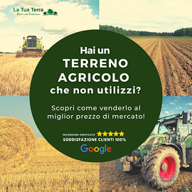 Acquistiamo 20 ettari di terreni agricoli –