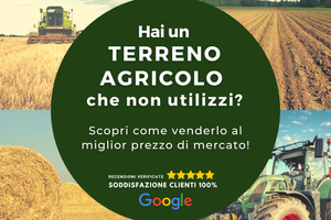 Acquistiamo 20 ettari di terreni agricoli –