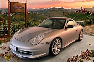 PORSCHE 911 GT3 cat KIT MANTHEY- MOTORE GT3 CUP