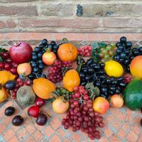 Lotto frutta finta decoratova