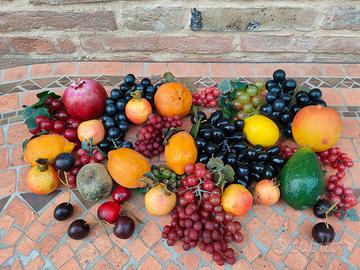 Lotto frutta finta decoratova