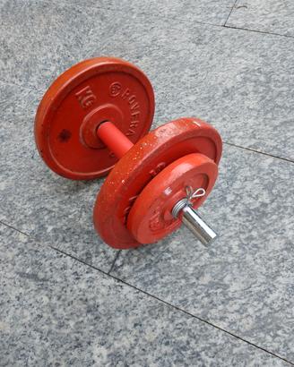 pesi palestra