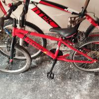 bici da 20