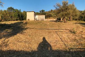 Terreno agricolo zona monreale