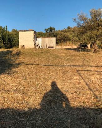 Terreno agricolo zona monreale