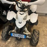 Quad 110 4t
