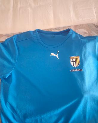 maglia training Parma calcio puma
