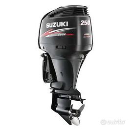 Coppia SUZUKI DF 250 | 2015 | 83h