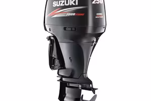 Coppia SUZUKI DF 250 | 2015 | 83h