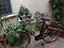 Immagine 2