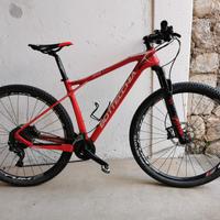mtb bottecchia ortles 297