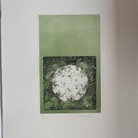 “Acquaforte originale su doppio zinco firmata