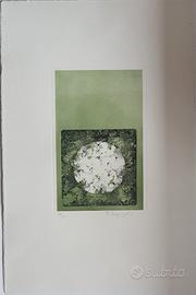 “Acquaforte originale su doppio zinco firmata