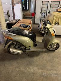Scoter Moto