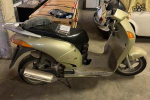Scoter Moto