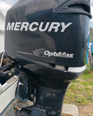 Mercury optimax 200
