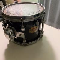 Premier Signia tom da 10”