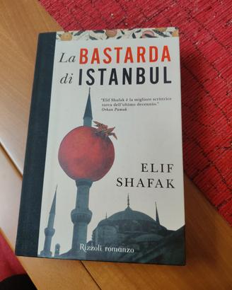 romanzo Elif shafak