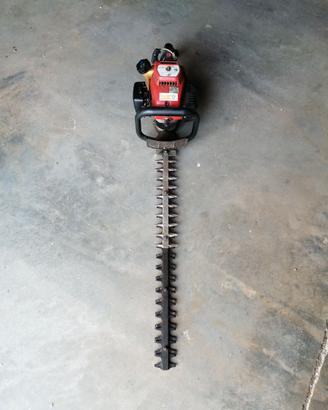 Tagliasiepe professionale efco